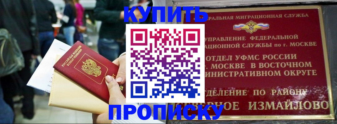 временная прописка в Кингисеппе